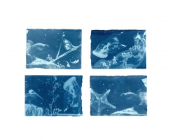 ŽMURKE, 4 CIJANOTIPIJE, 17,5 x 12,5 cm, 2026
