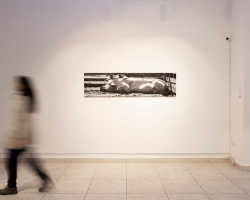 DIŠEM NJENIM TEMPOM fotografija 200 x 50 cm